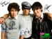 Jonas Brothers2